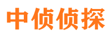 滨海新区市侦探公司